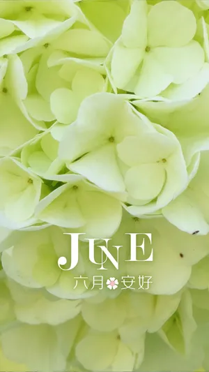 小清新的六月