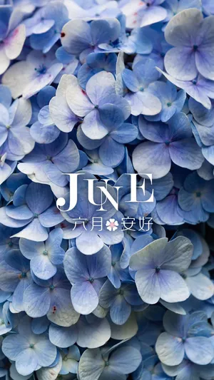 五月随风而去 六月缱绻而来
