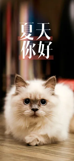 夏天来了,轻轻的问声好