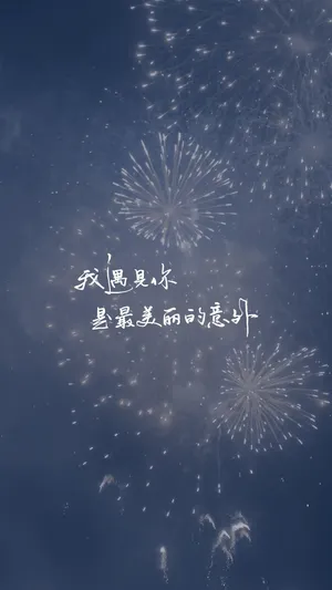 我遇见你,是最美丽的意外
