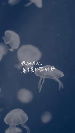 我排着队,拿着爱的号码牌_1