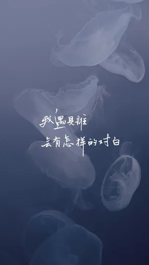 我遇见谁,会有怎样的对白