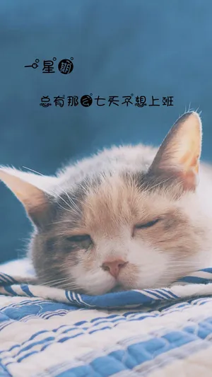 一星期,总有那么七天不想上班
