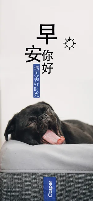 早安你好,遇见美好的时光_1