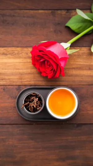 一人品茶 谓之禅茶