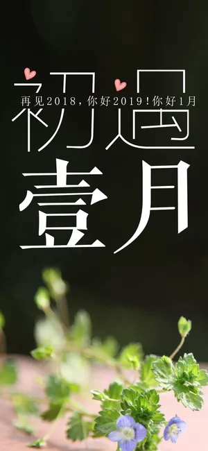 清新文艺的初遇一月_1