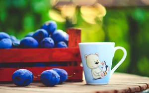 诱人水果李子图片_3