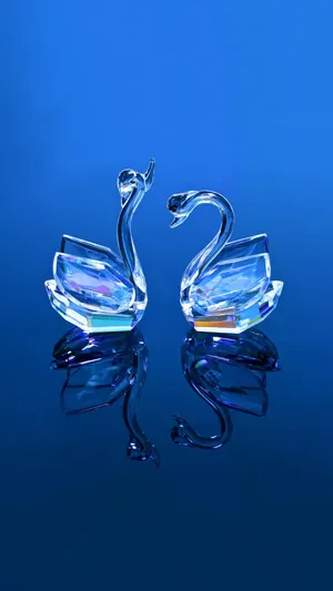 水晶天鹅_1