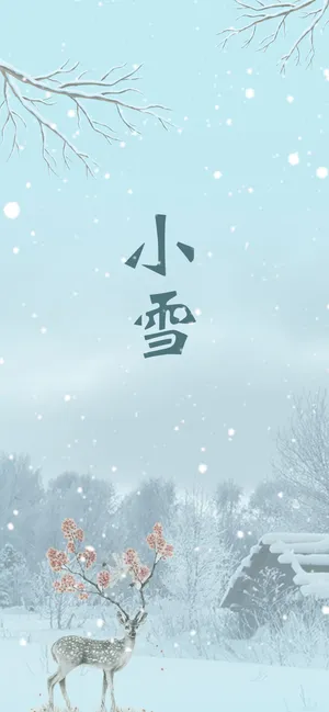 小雪的唯美简约插画