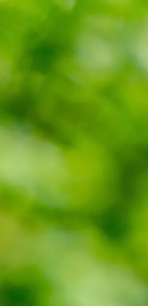 心中多一点绿意