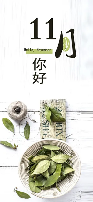 11月你好,小清新早安茶叶