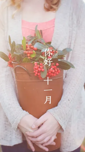 你好十一月_1