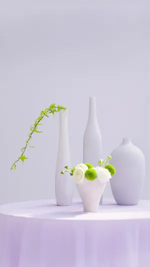 巧用植物扮靓空间