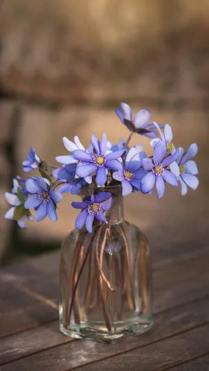 花艺与花器_1