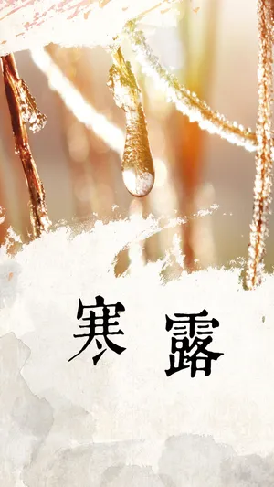 寒露，深秋的寂静_1