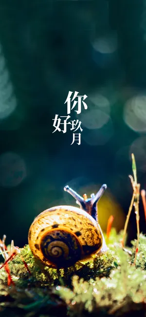 玖月你好可爱的小蜗牛_1