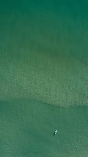 简单的深绿色背景