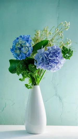 花香物语_1