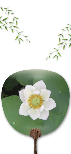 二十四节气大暑伞中花