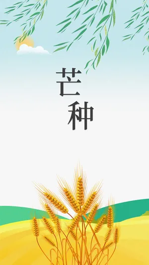插画风二十四节气芒种