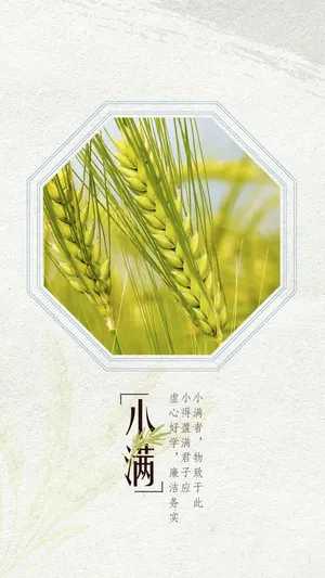 小清新简约小满节气_1