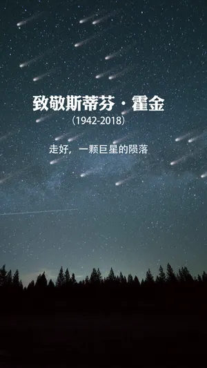 简约大气致敬霍金