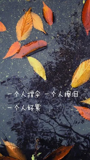 唯美意境文字