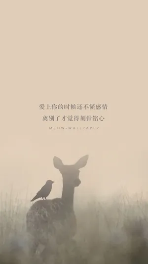 森林麋鹿小清新文字