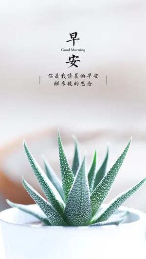 简约文字早安图片_1