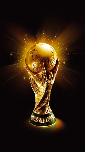 国际足联世界杯2014巴西奖杯