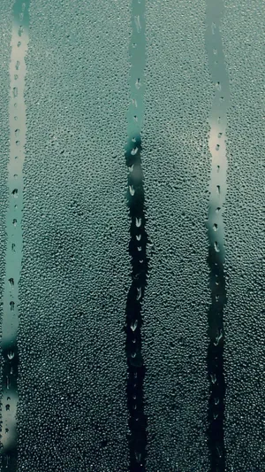 湿玻璃_1