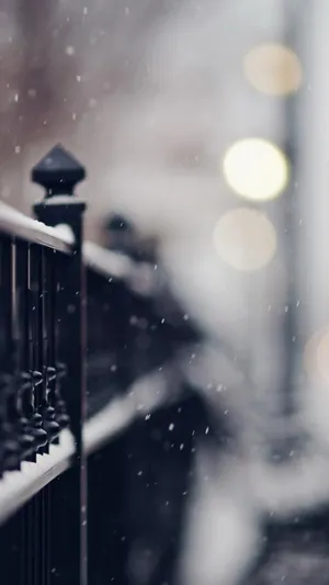 铁黑栅栏_1