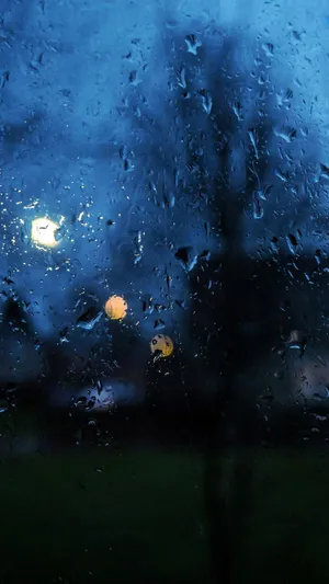 雨天从窗子看户外之景
