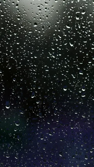 雨