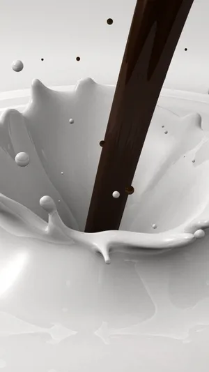 黑巧克力白奶油_1