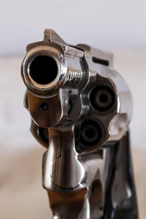 枪支 手枪 左轮手枪 枪 武器 危险 暴力 犯罪 射击_1