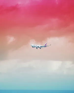 飞机 旅行 冒险 云 天空