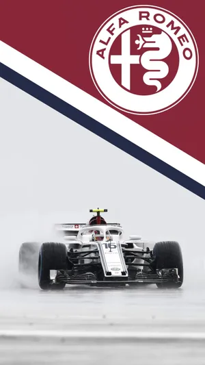F1方程式赛车索伯C37车队赛车3_1