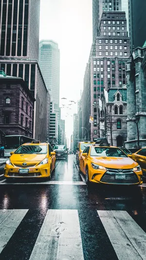 城市市中心斑马线上的黄色出租车_1