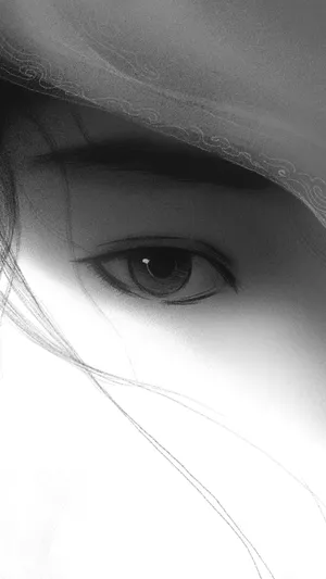 美丽的眼睛，一个女人的右眼精美黑白
