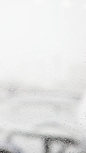 雨后玻璃窗苹果手机桌面背景