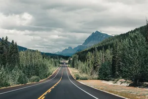 树林山脉公路自驾游图片