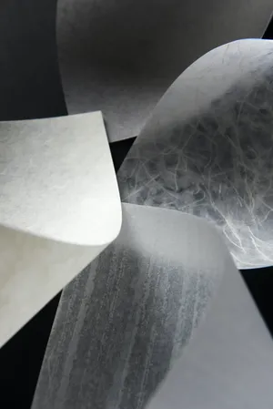 灰白色的纸图片_1