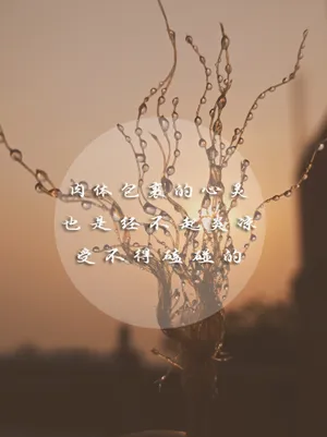 一句话生活语录说说图片
