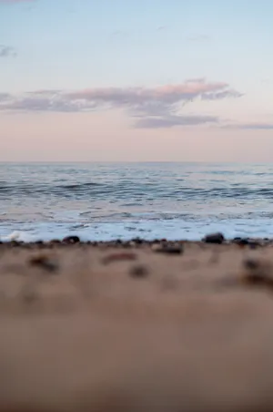 大海海边海岸图片