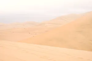 荒芜人烟沙漠风景图片