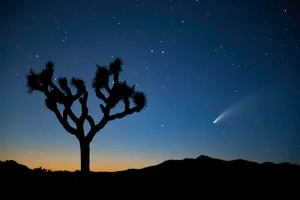 流星划过天空图片