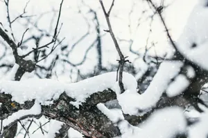冬季冰雪景色图片