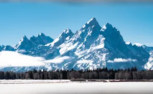 冬季雪山树林摄影图片