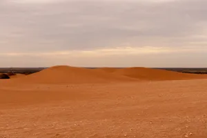 戈壁荒漠旱地图片